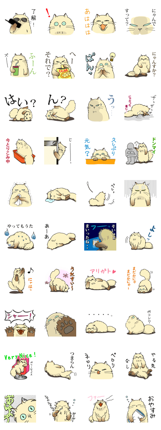 生意気ペルシャ