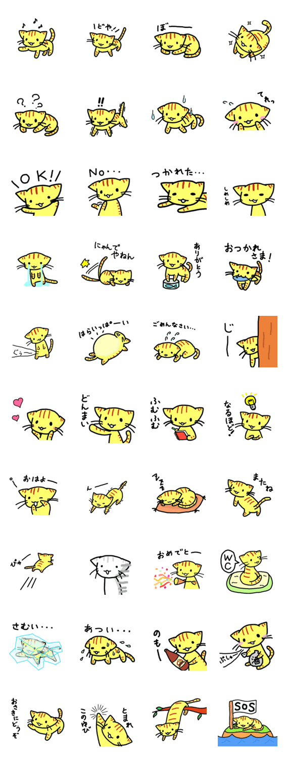 マイペースとらねこ