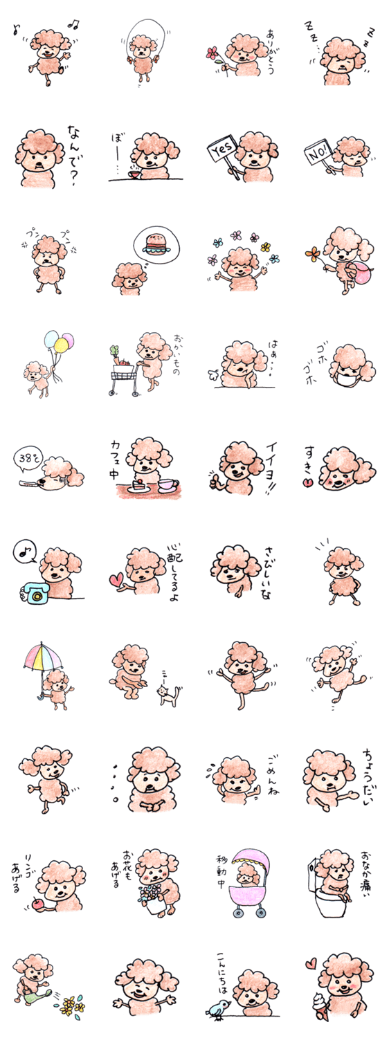 ぷーたんの一日