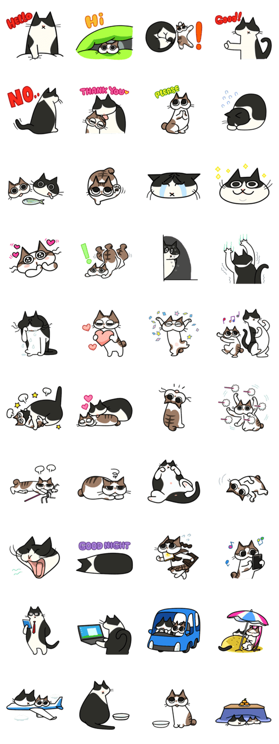 クーさんとココさん