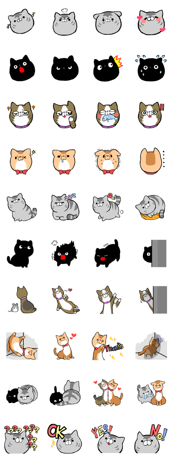 でぶ猫ギンちゃん