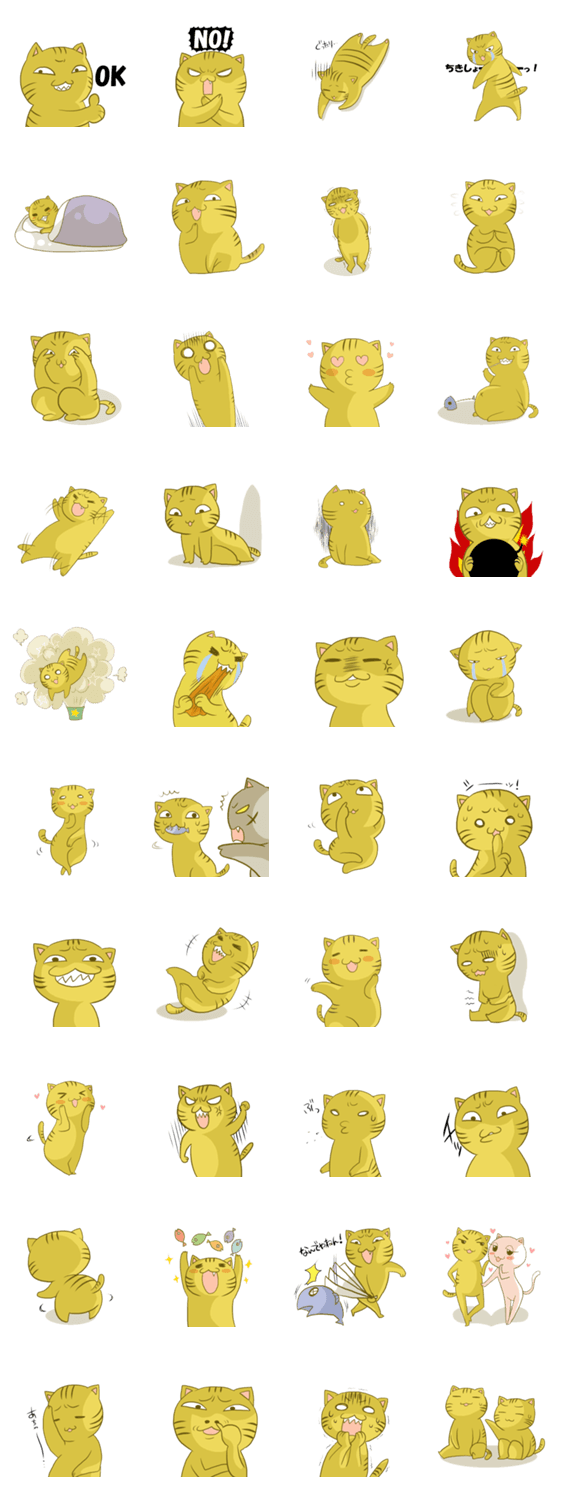 トラネコのトラちゃん