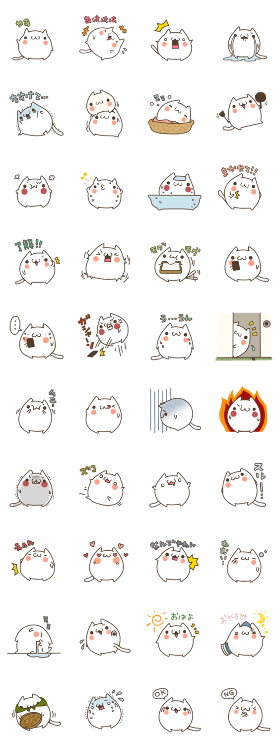 しらたまネコたん