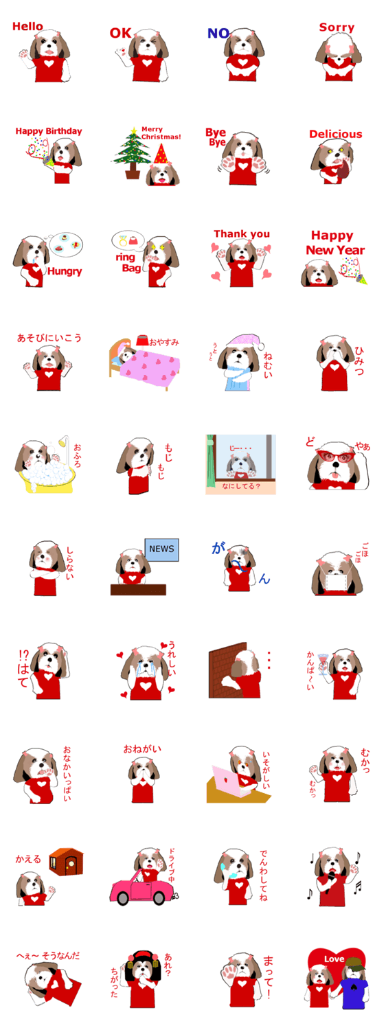 可愛いシーズー　ウェン