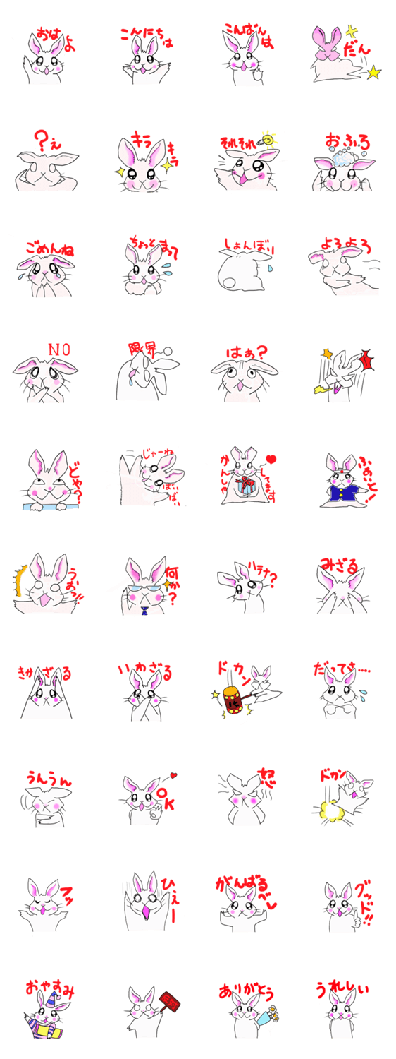 Daily life of rabbit