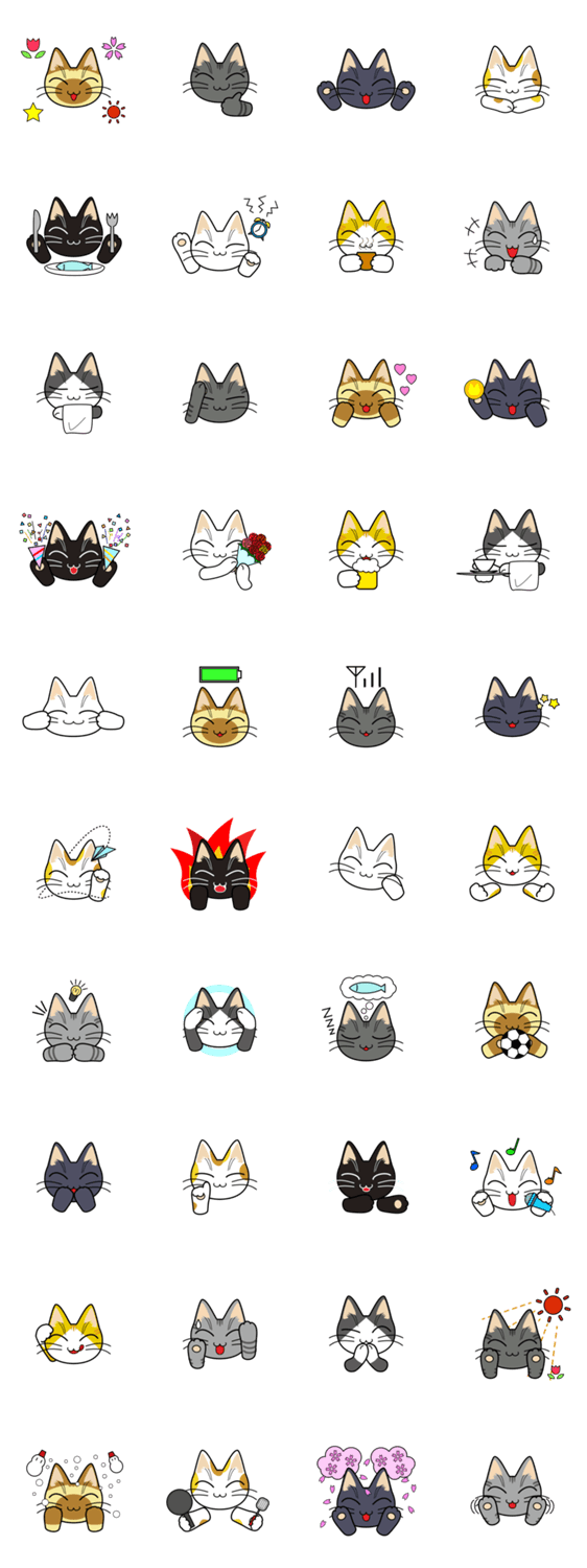 細い目の猫 〜ポジティブ〜