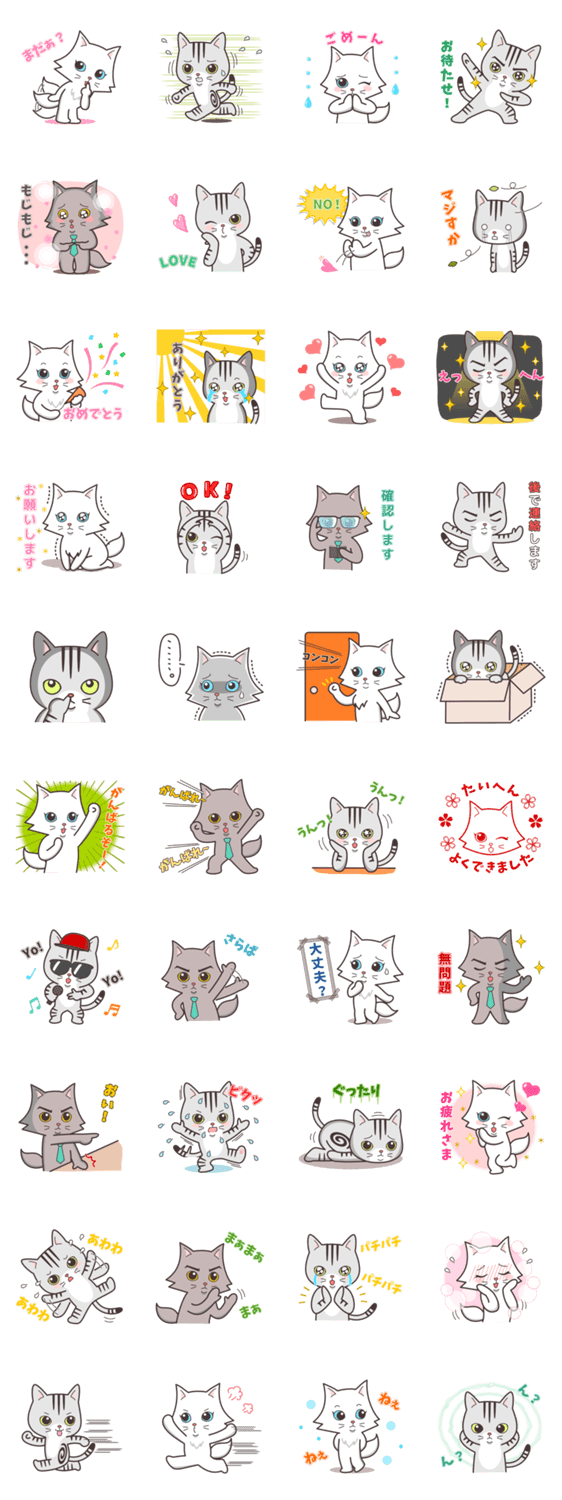 こう来たらこう返す(ペルシャ猫こゆき)