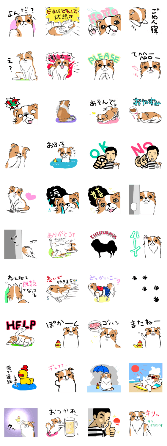 たれ耳チワワぺろこちゃん