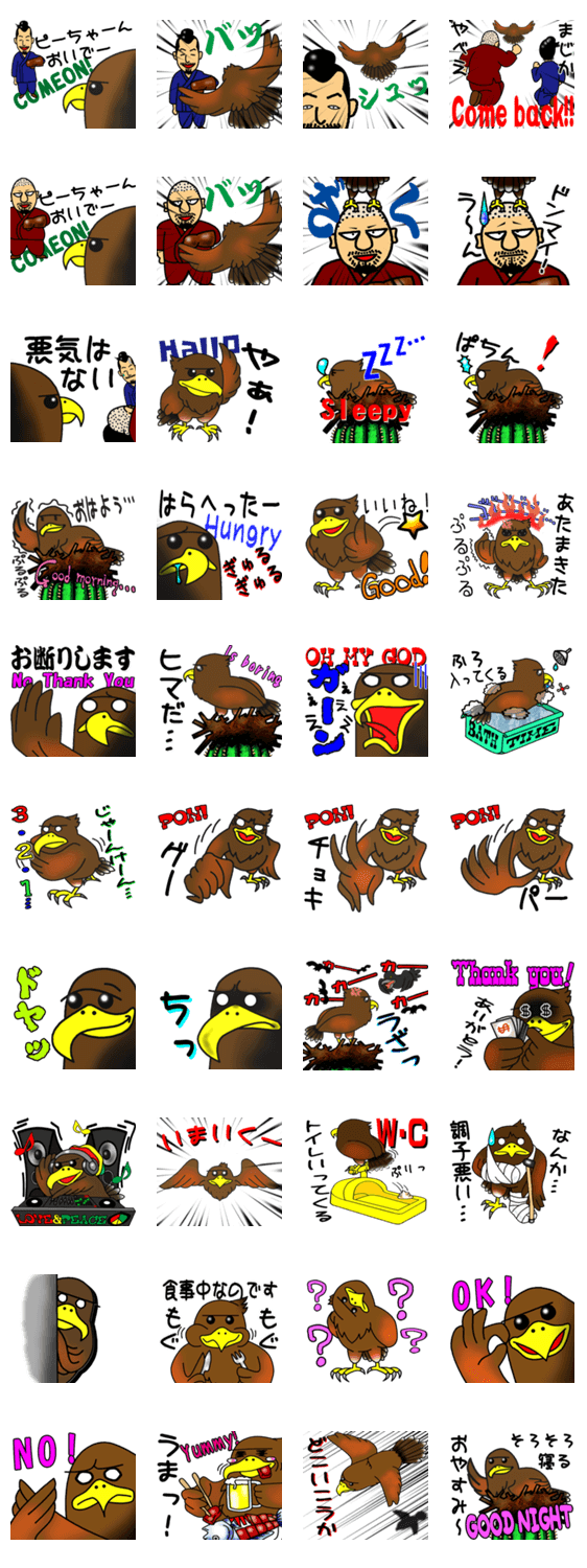 ハリスホークのピーちゃん