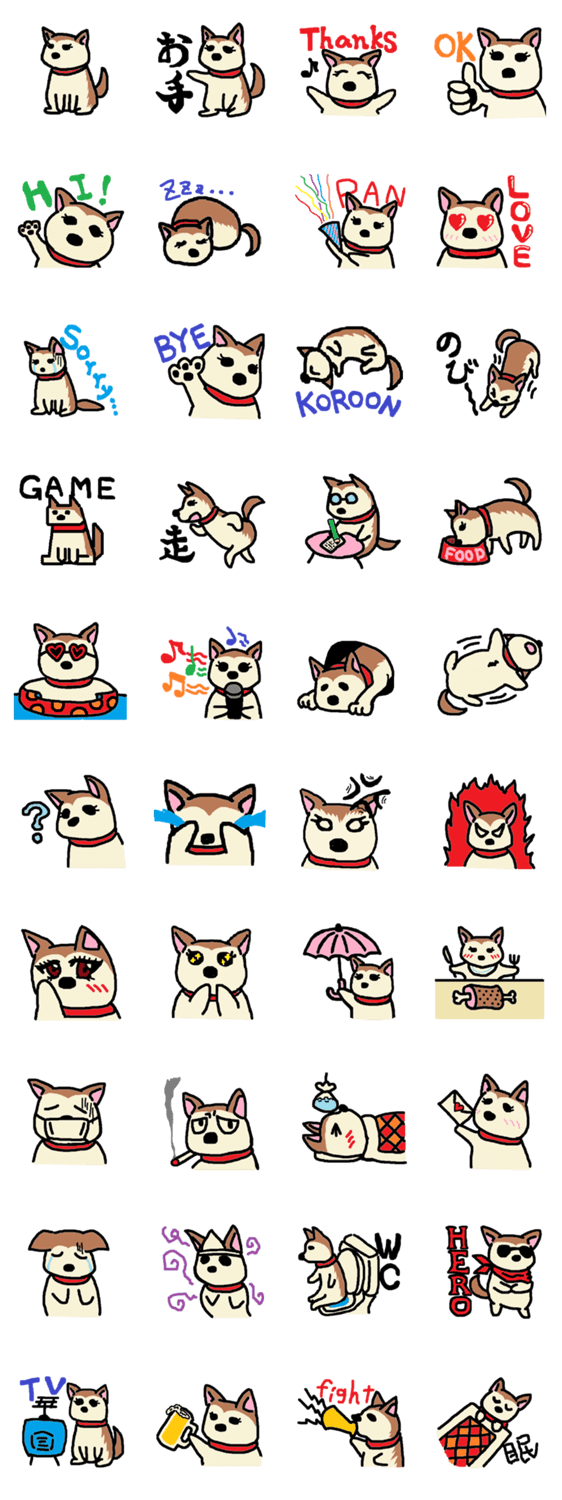 犬のような猫のような柴犬