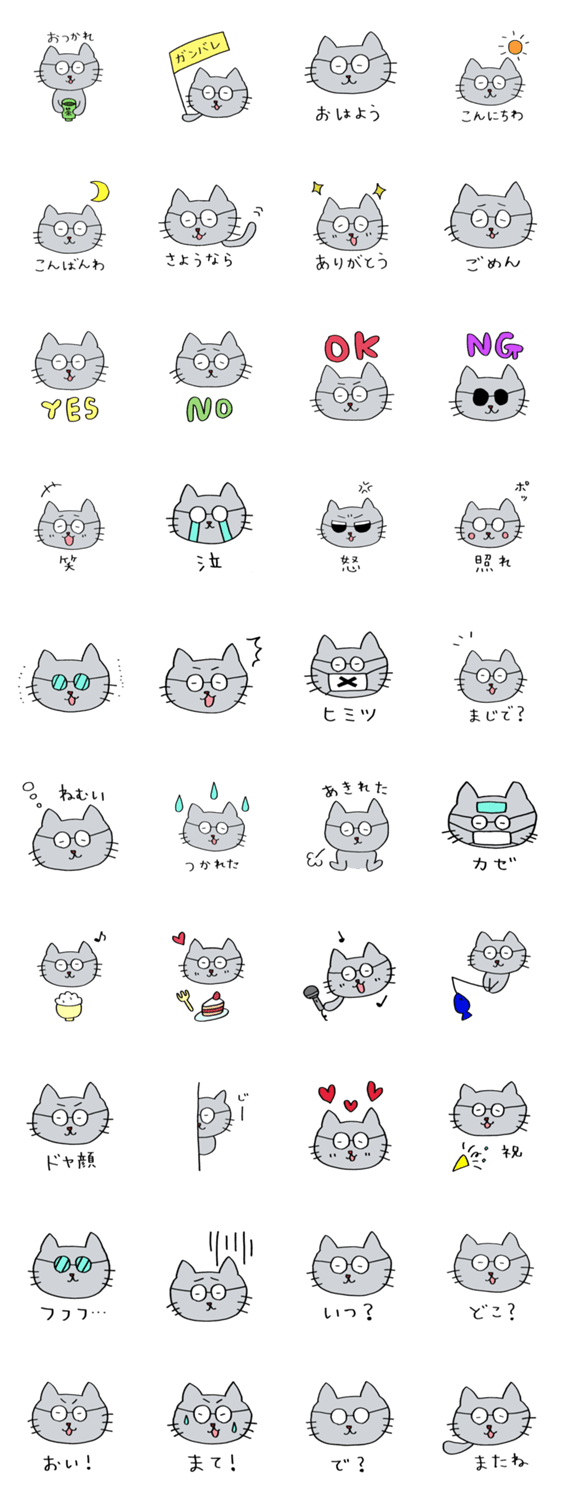 めがねネコ チャス