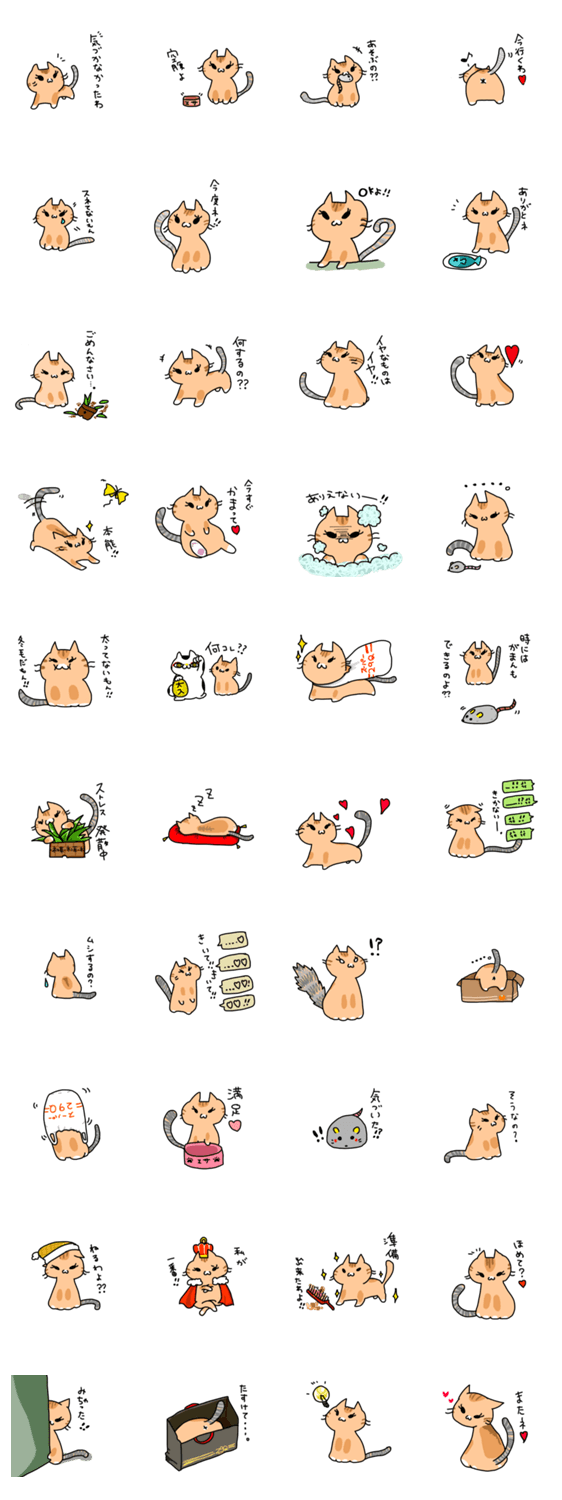 基本的に女王様（猫）