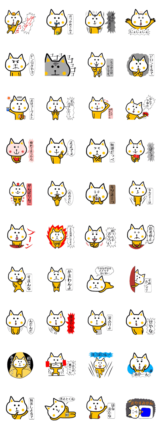 田舎生まれ、関西育ちの黄色いニャンコ