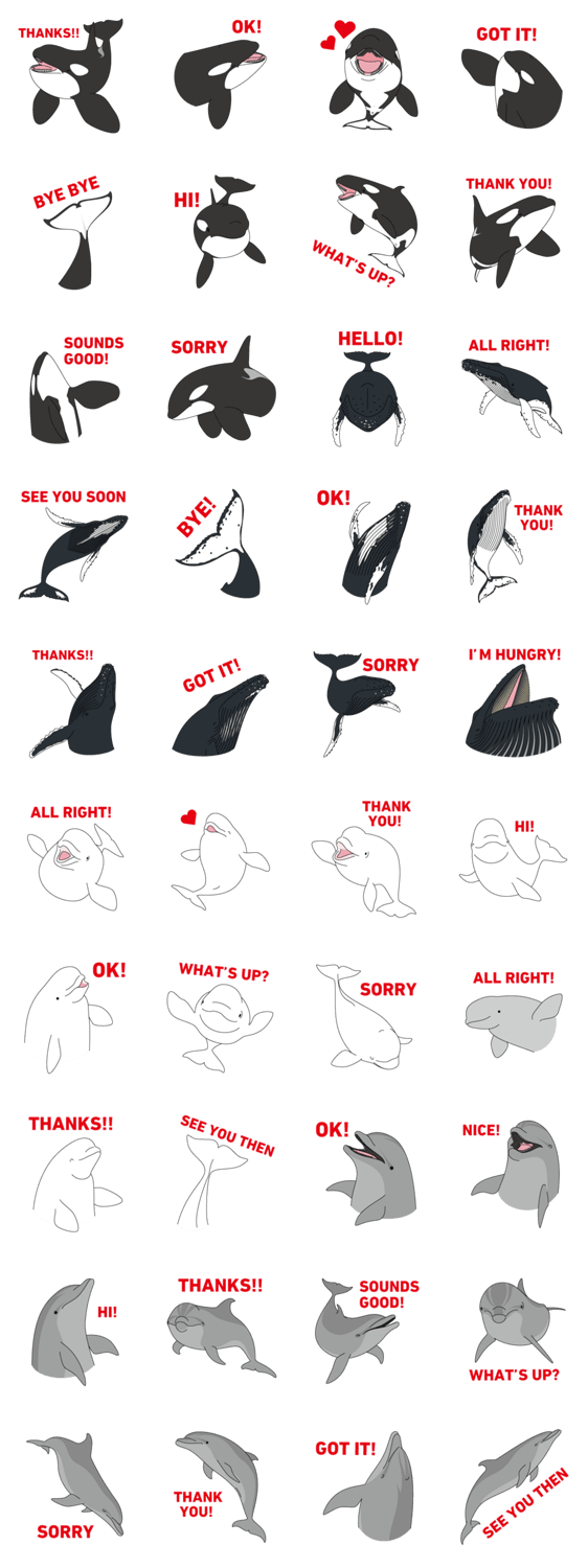 クジラ・シャチ・イルカ詰め合わせ