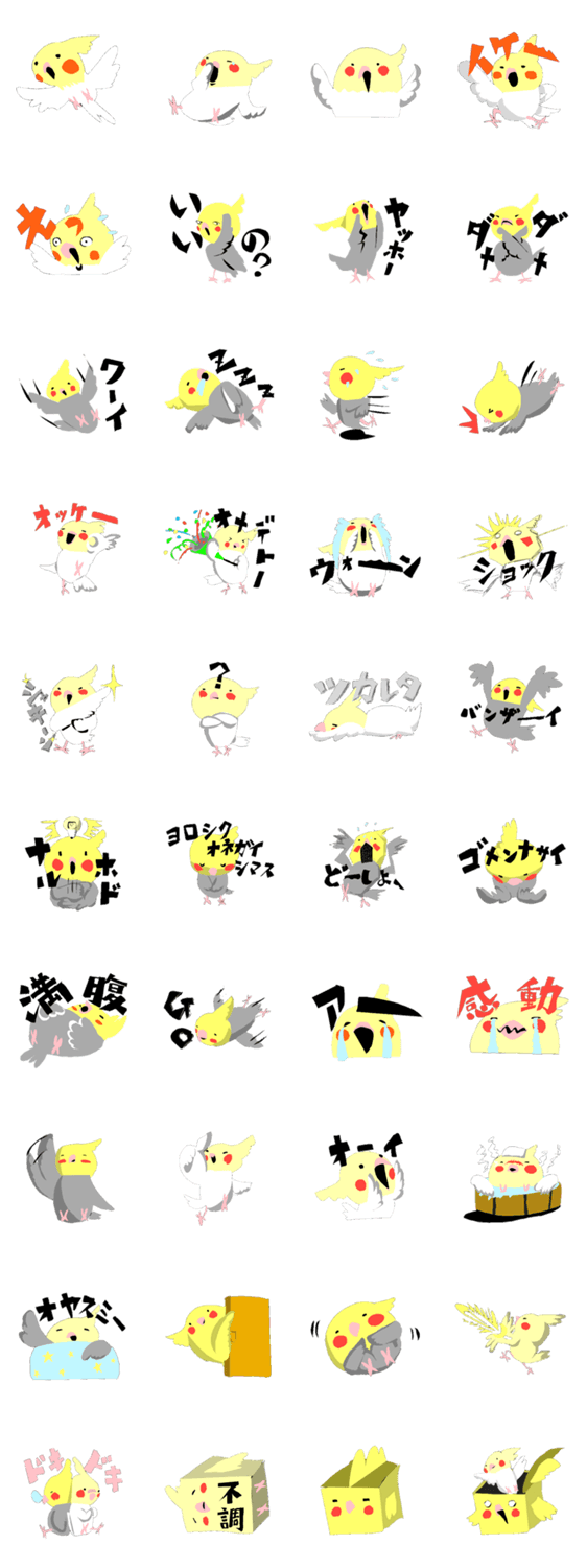 オカメインコライフ