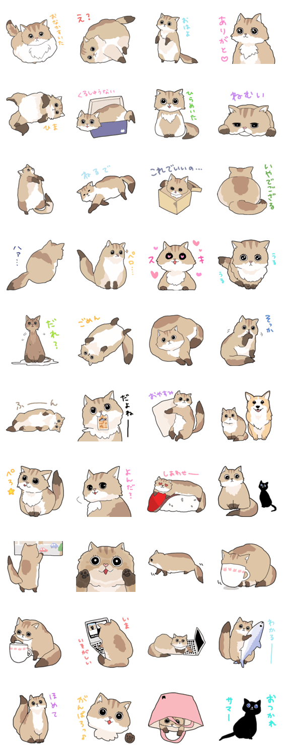 ゆるふわネコみやびの日常