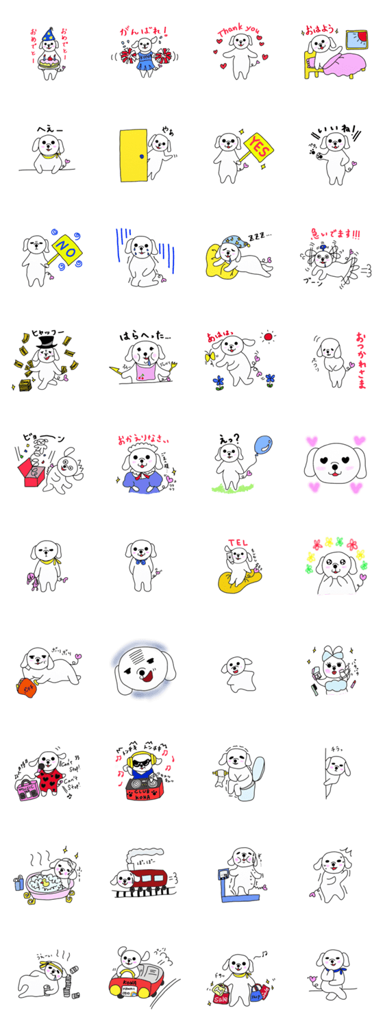 マルチーズ犬コナタソのハッピーライフ