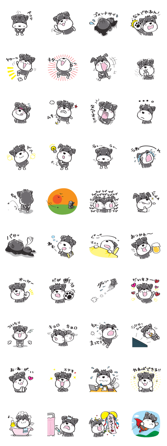 シュナたろ参上！