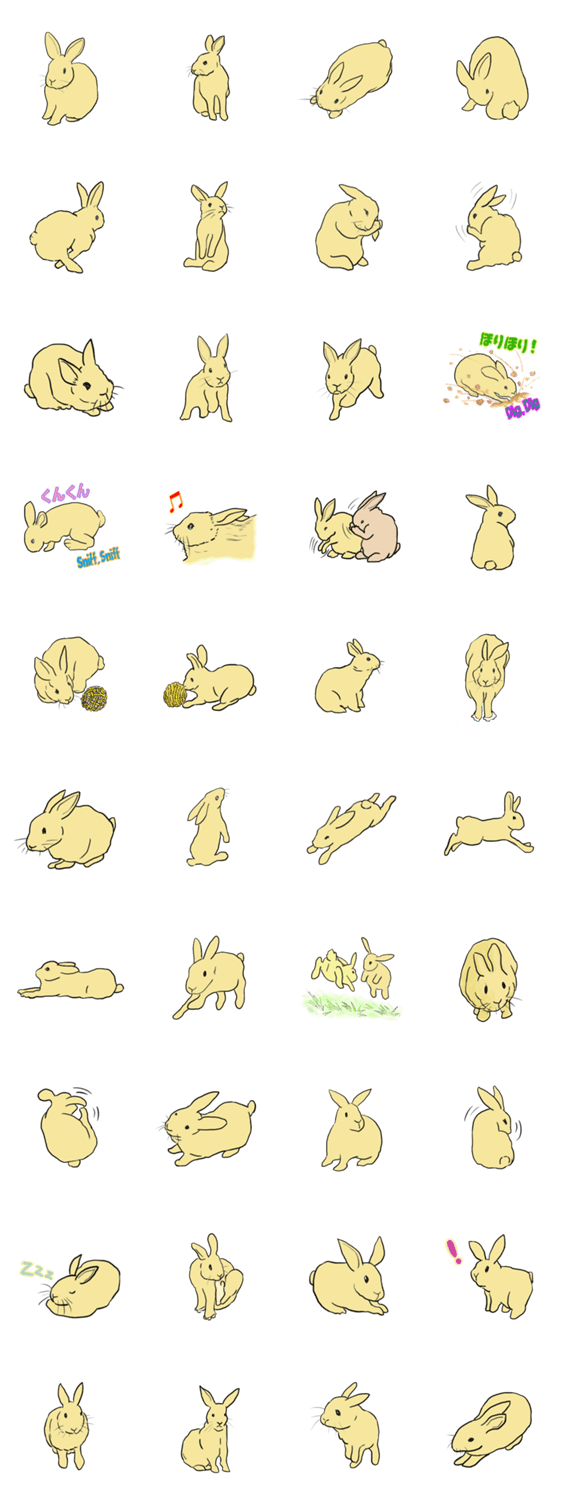 うちの家ウサギさんたち