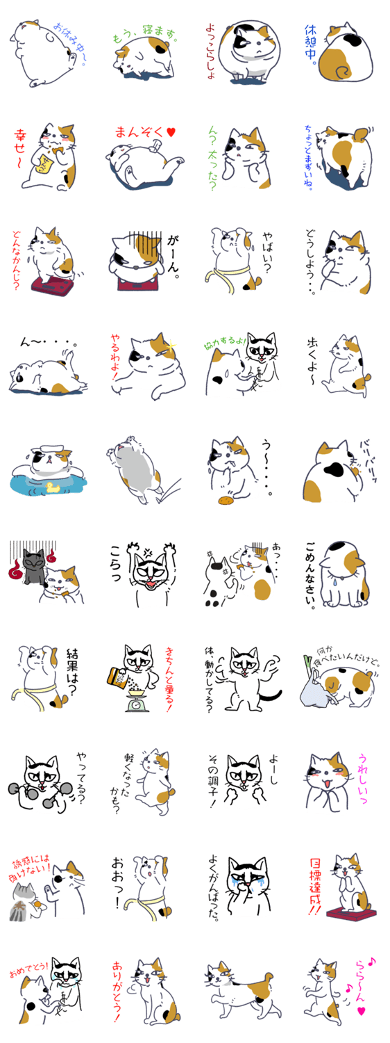 みーちゃんのダイエット