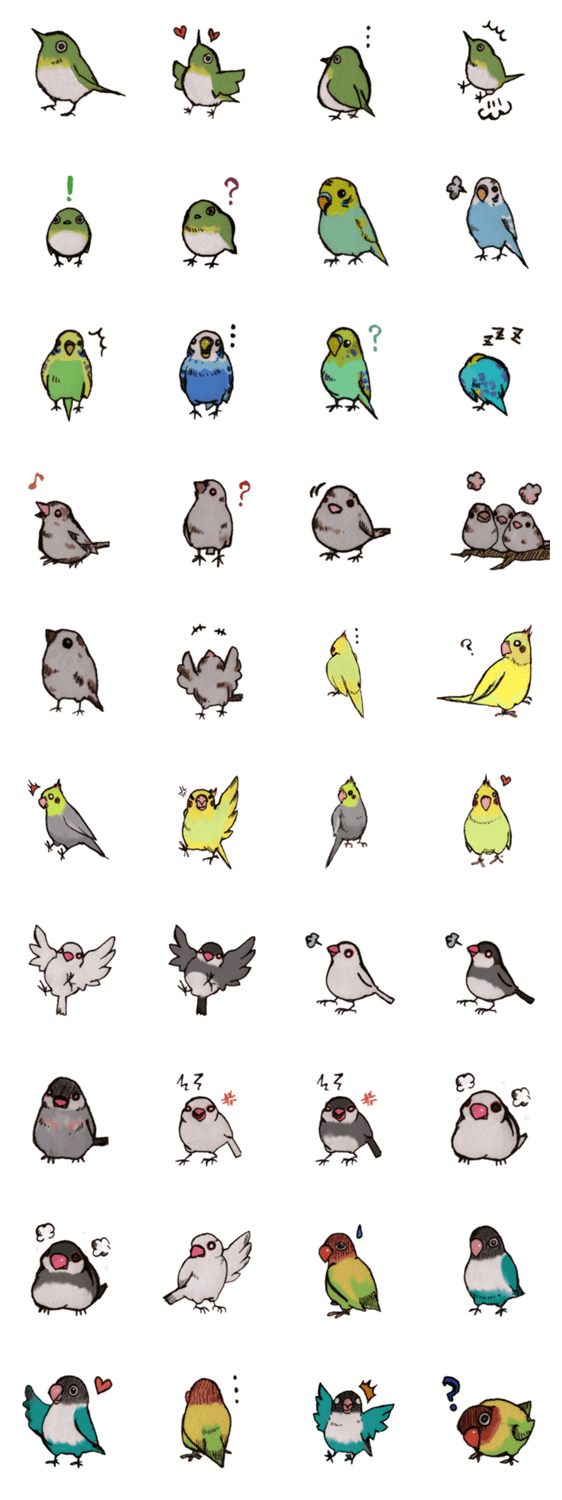 お洒落な鳥たち　小鳥