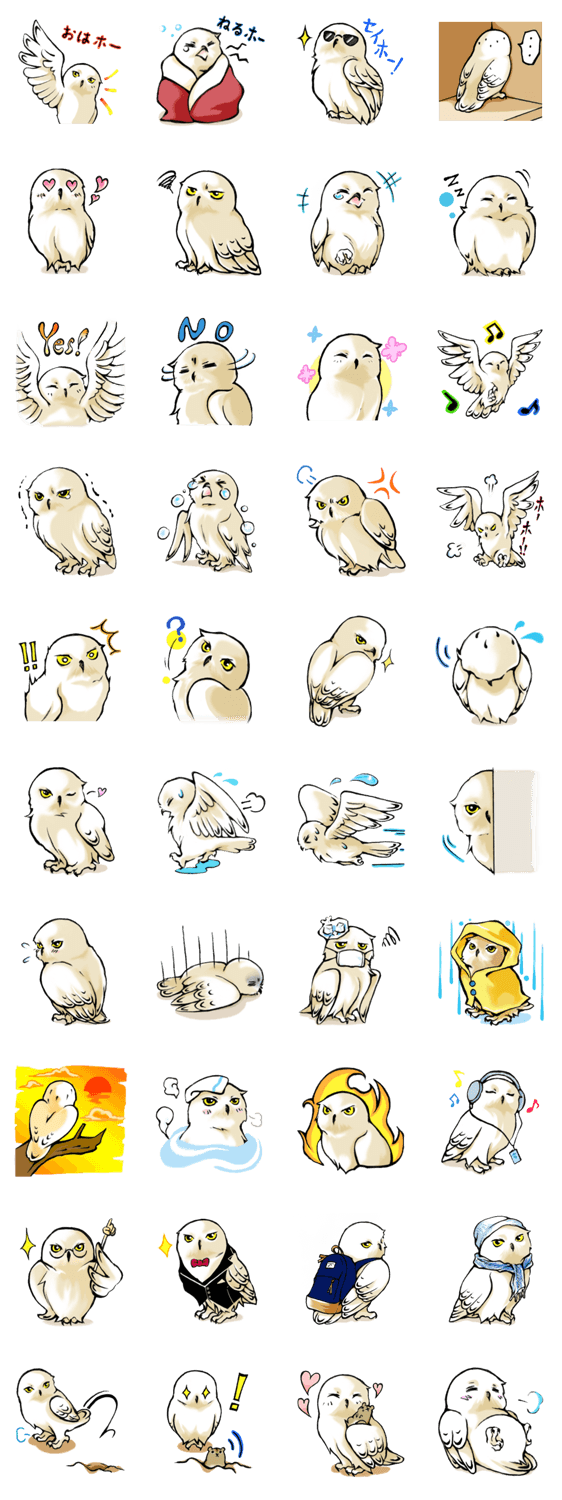 Wonder Baggao（ワンダーバゲオ）