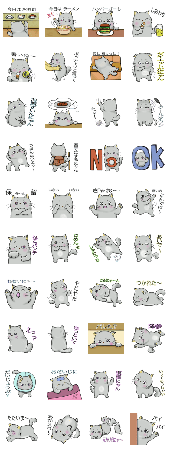 ポッチャリ　にゃんこ