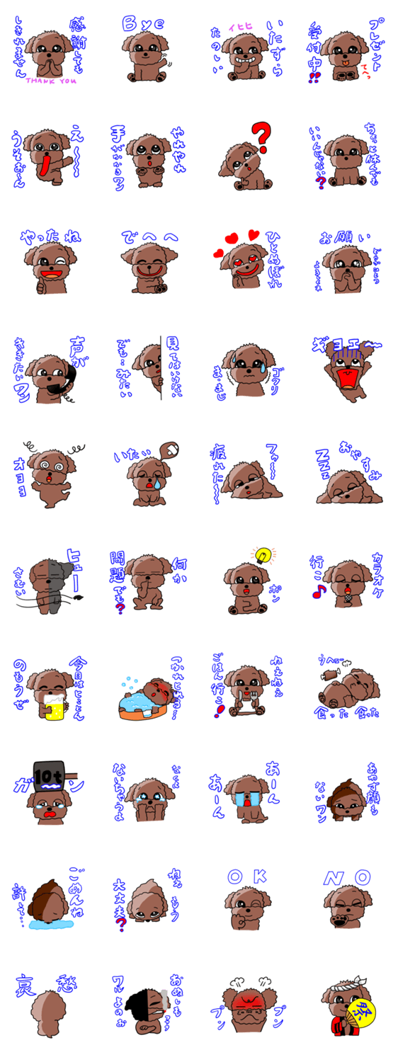 わんこのこまめちゃん