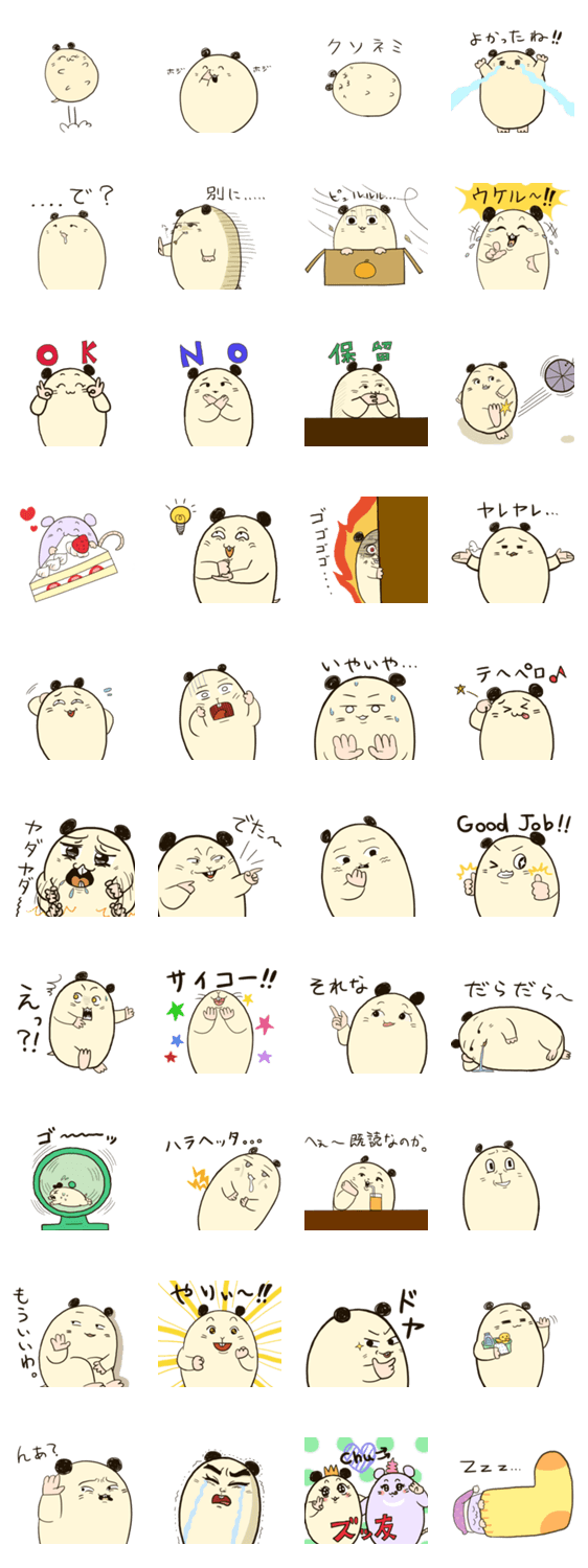 きんくま　わたお