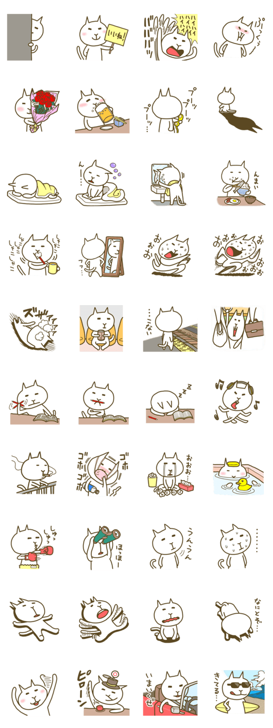 ヤマネコの毎日