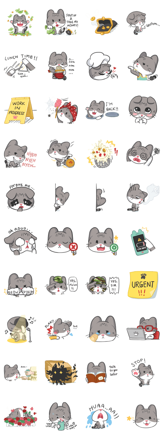 Meow Daily Expressions