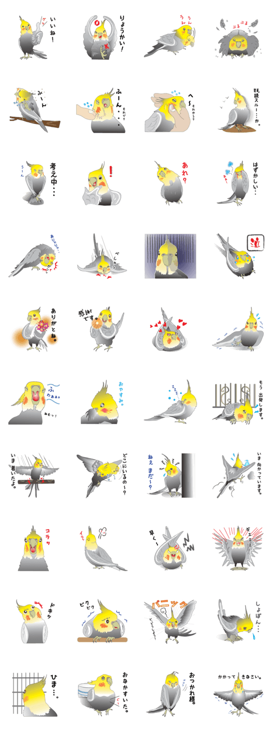 おちゃめインコ