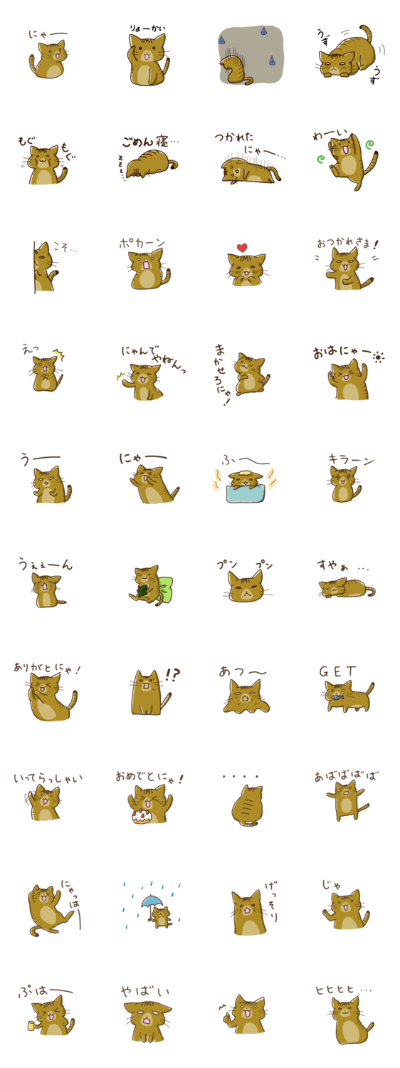 猫のぶーしゃん