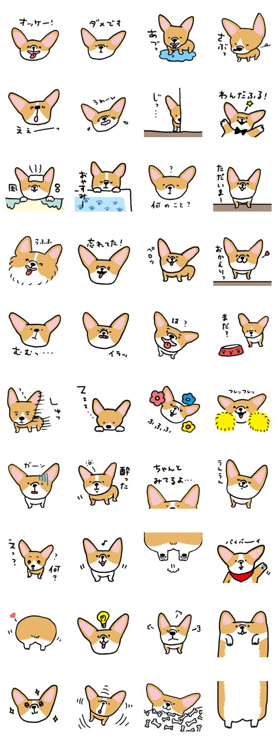 コーギーいろいろ