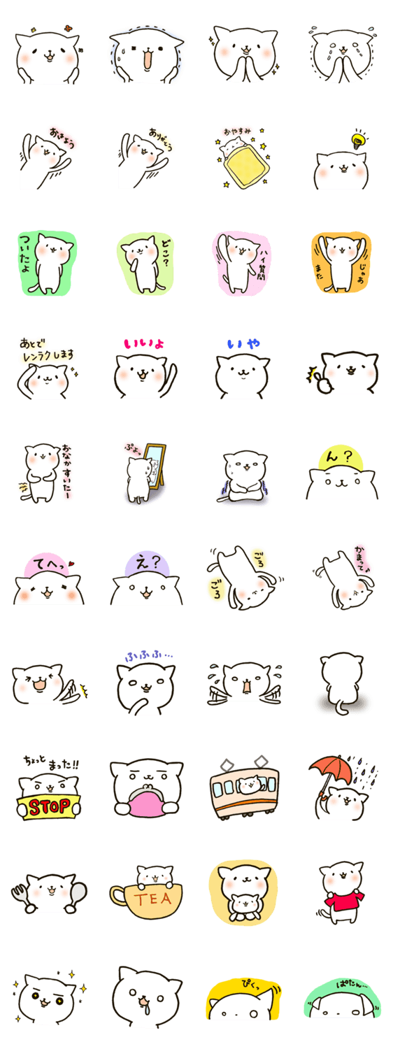 しろねこ時々しろめ