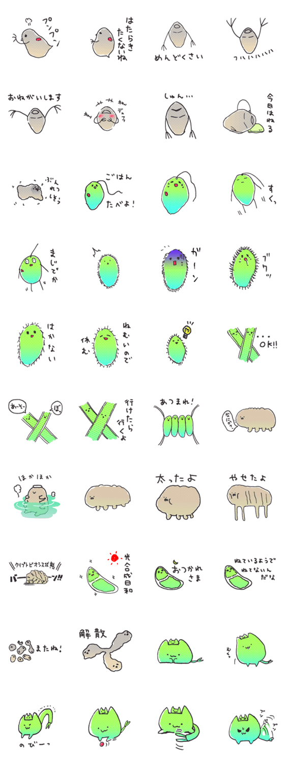 水生微生物その２