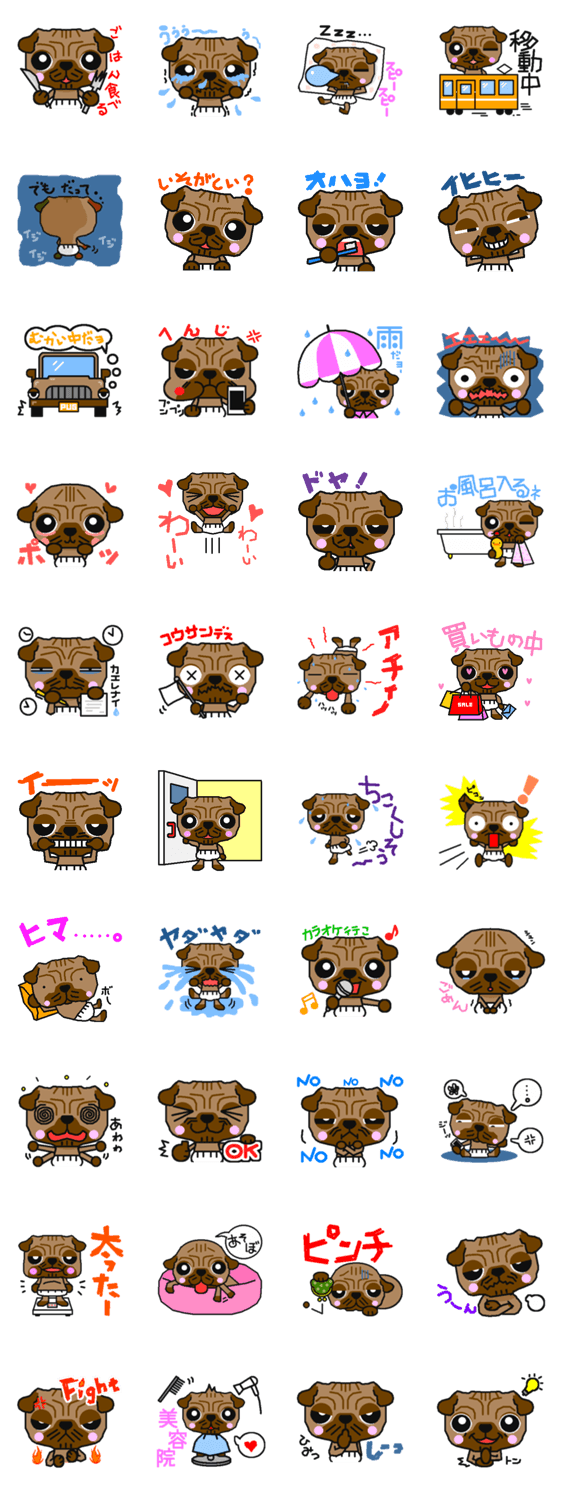 白パンパグの日常