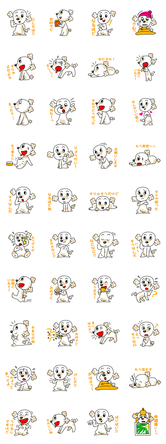 トイプードルのプ〜ちゃん！