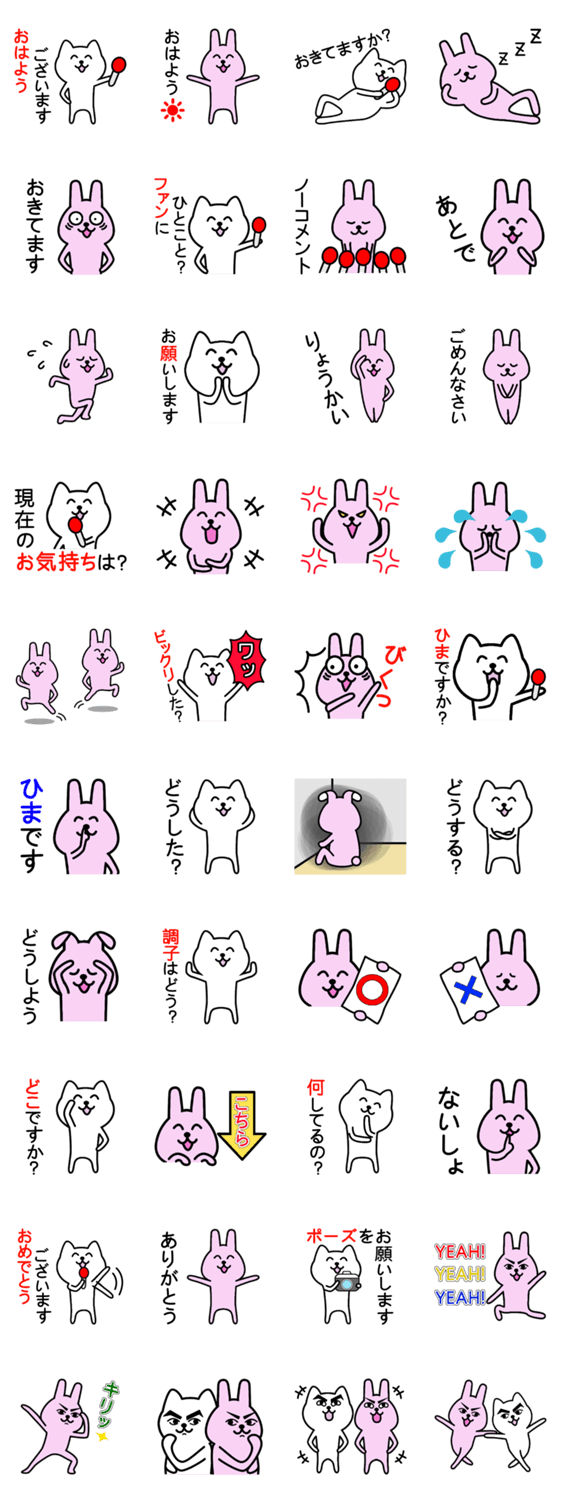 質問する猫、答えるウサギ