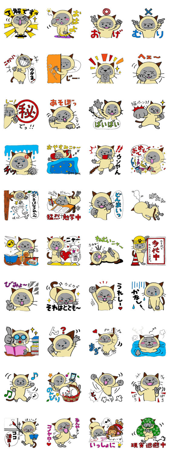 シャムＭＩＸ　まるサン